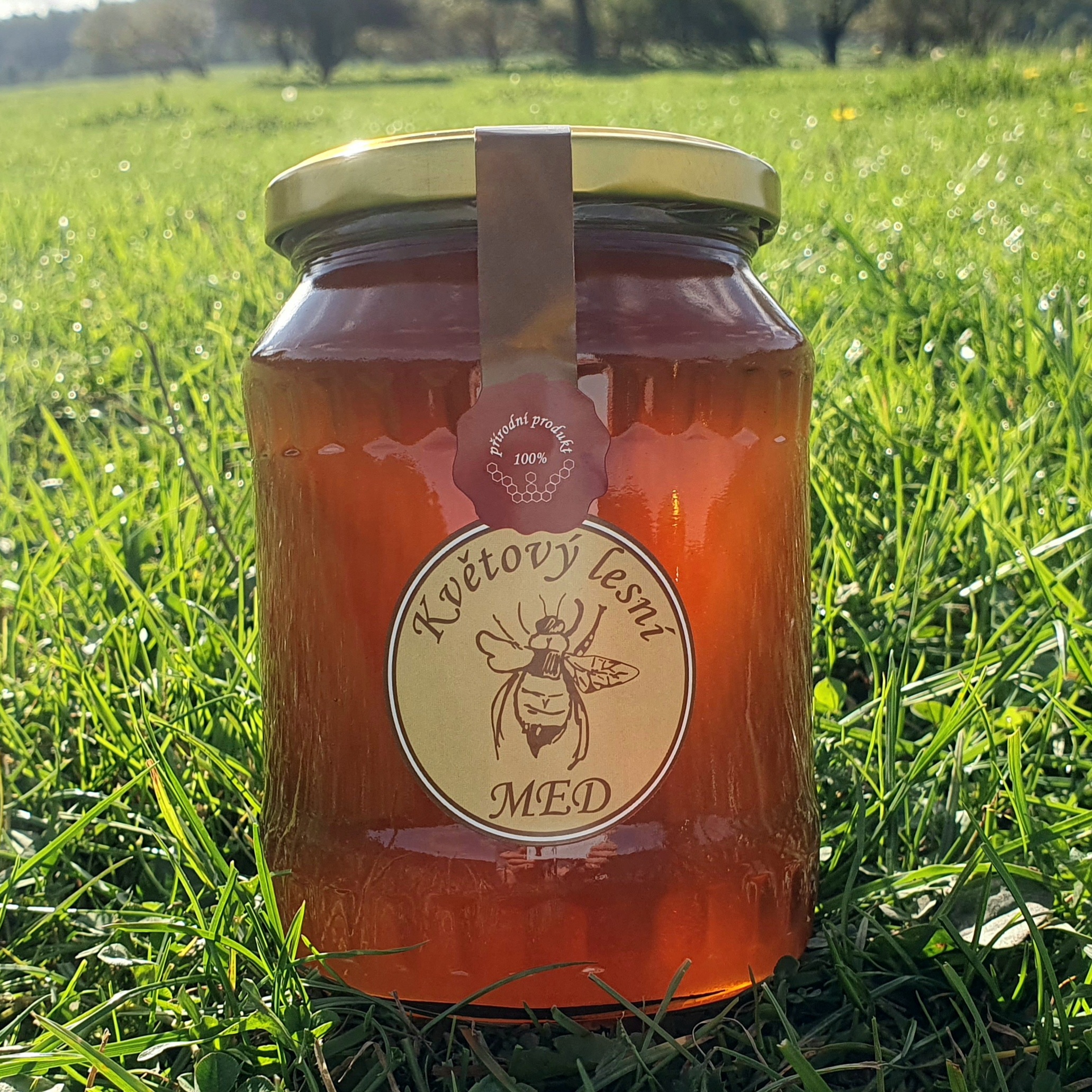 Med lesní 950 g - Obrázek 2